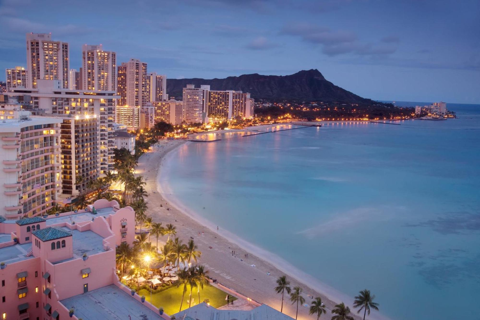 Homey Aqua Palms