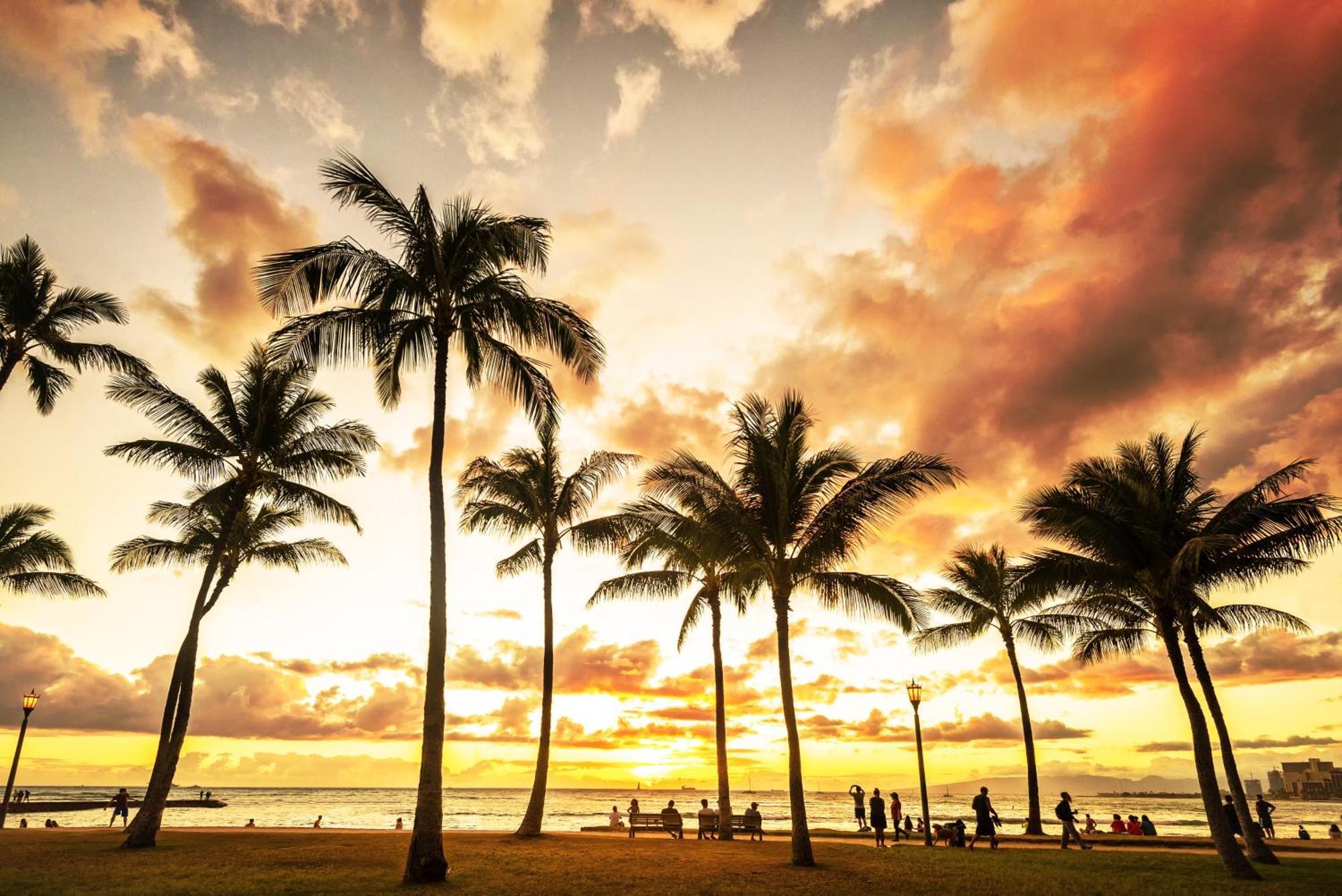 Homey Aqua Palms Apartment Honolulu